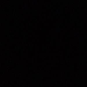 Meet your Posher, Hunter